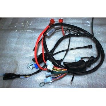 Arora Freedom 125 Elektri̇k Tesi̇sati (Euro 5)